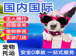 烟台蓬莱航空物流国际宠物托运 【国